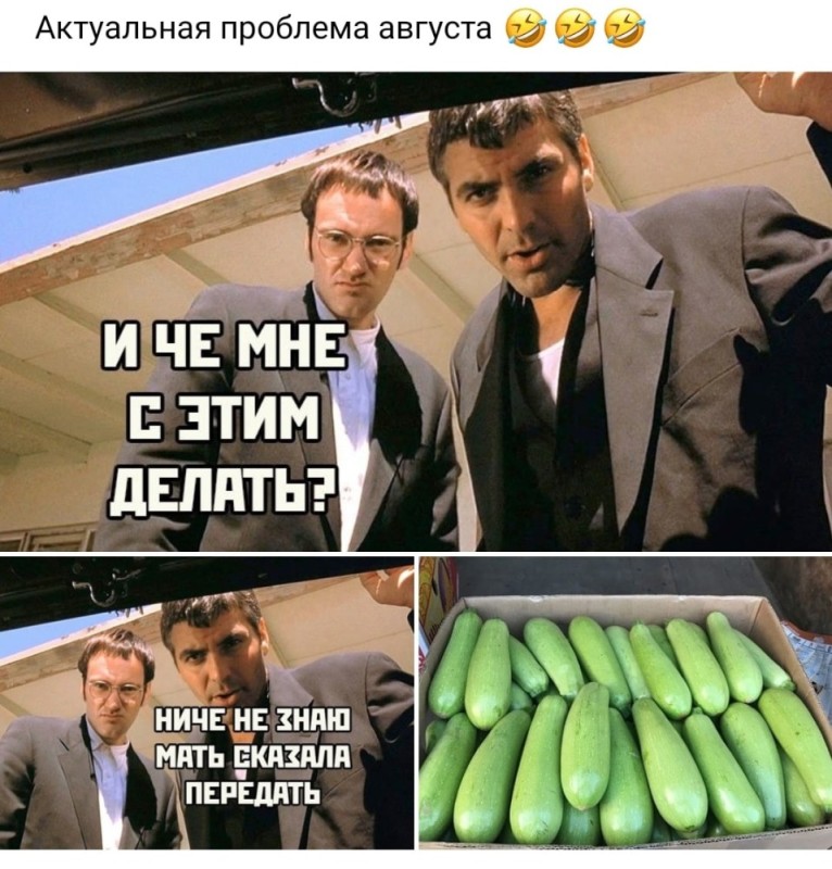 Create meme: memes about zucchini, jokes about zucchini, zucchini meme