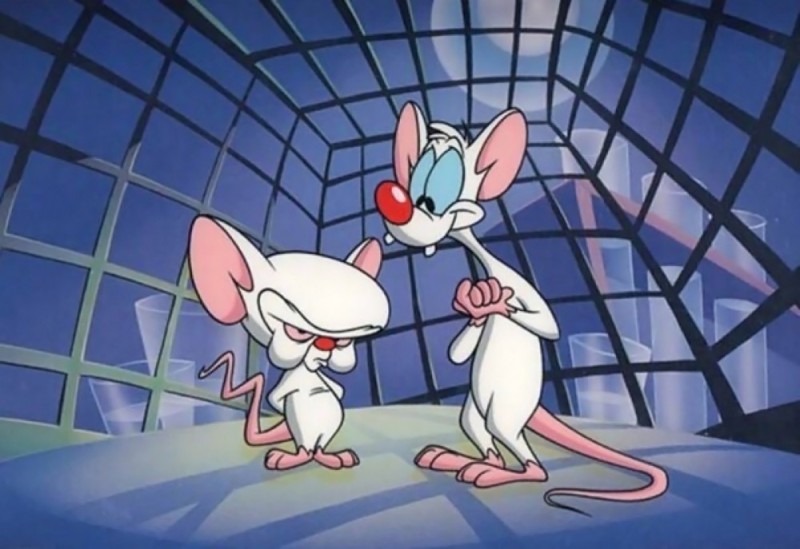 Create meme: brain kicks, cartoon pinky and brain, cartoon pinky and brain