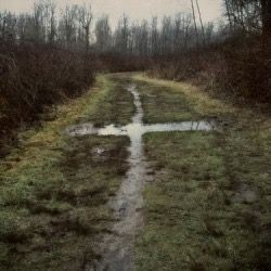 Create meme: dark photos, rural road, the landscape is gloomy