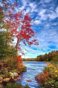 Create meme: river landscape, autumn landscape, autumn nature