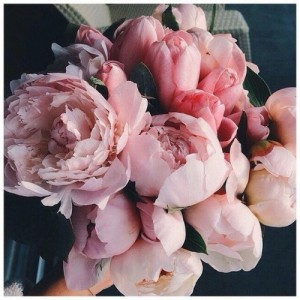 Create meme: luxury flowers, peonies flowers, peony