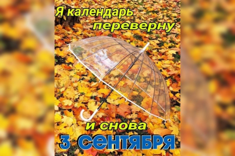 Create meme: autumn leaf, autumn umbrella, foliage autumn