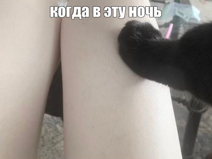 Create meme: Black cat, cat cat , cat 