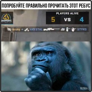 Create meme: gorilla funny, gorilla