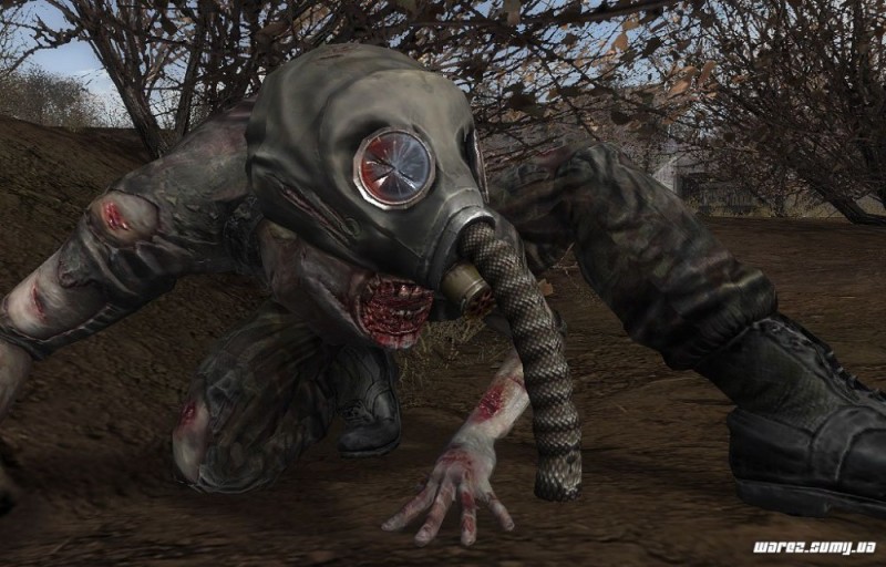 Create meme: Stalker the call of Pripyat Snork, Snorky Stalker, The Snork stalker