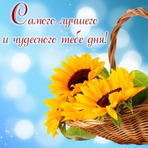 Create meme: clipart sunflowers basket, Wallpaper flowers sunflowers in a basket, postcards have a nice day and mood