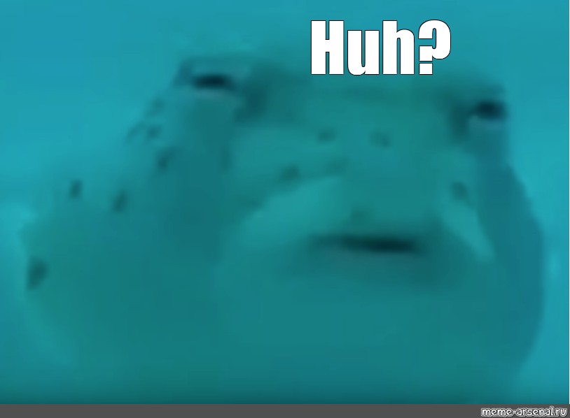 Huh Fish Meme GIF Huh Fish Meme Discover Share GIFs, 53% OFF