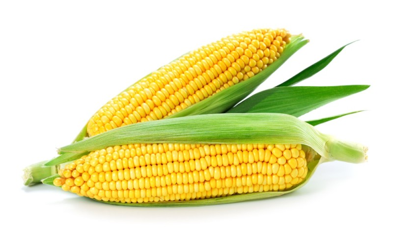 Создать мем: кукуруза сахарный початок, кукуруза зерно, вареная кукуруза