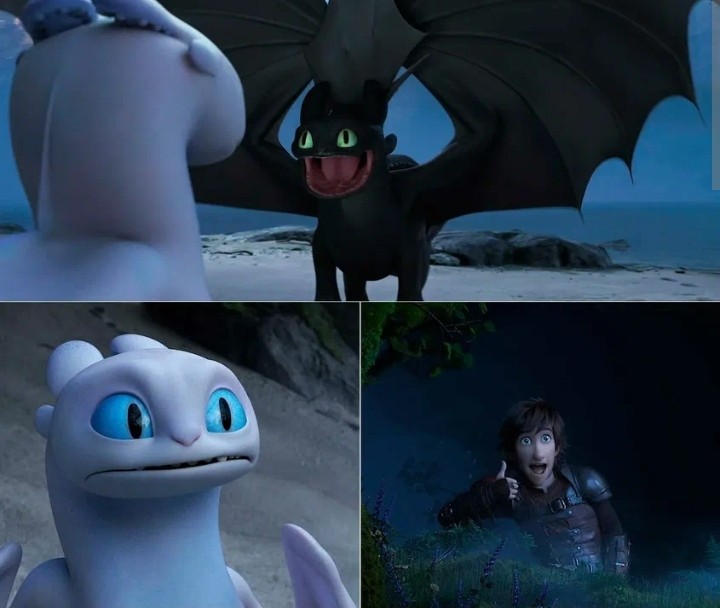 Create meme: Toothless and Hiccup, toothless and day fury, tame the dragon toothless