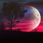 Создать мем: обои для xp луна, sunset, the moon