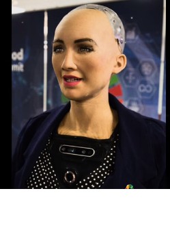 Create meme: Robotics by Sophia Hanson, the robot of Sofia, Robot Sofia David Hanson