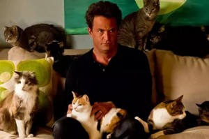 Create meme: Chandler is photographed, Matthew Perry with 13 cats movie, August 26, the feast of the thirteenth cat