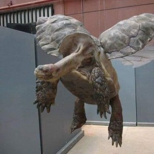 Создать мем: скульптура, вышла черепаха, черепаха смешная
