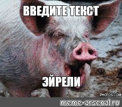 Создать мем: null