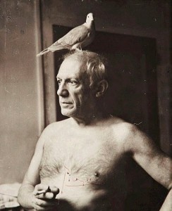 Create meme: dove, Pablo Picasso