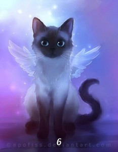 Создать мем: котик арт, белая красивая кошка арт, арты котиков