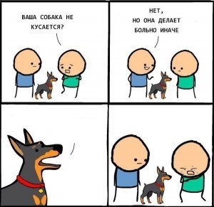 Create meme: funny comics , does your dog bite, jokes comics