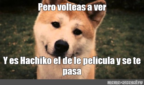 hachiko meme