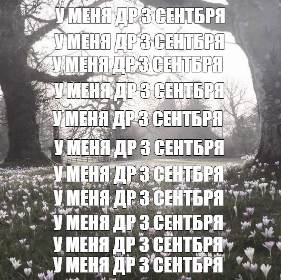 Создать мем: null