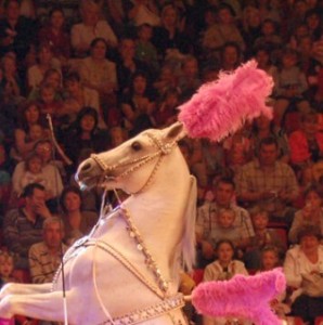 Создать мем: цирк шатировы белый конь, цирковое представление, рисунок артист цирка с лошадью