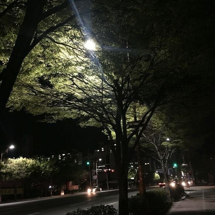 Create meme: park at night, landscapes of South Korea, night Park
