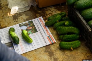 Create meme: varieties of cucumbers, cucumber, cucumber