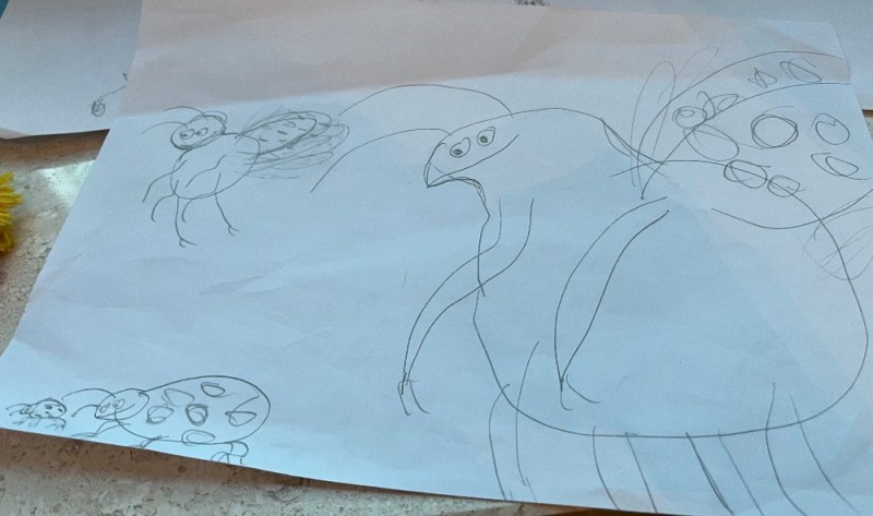 Создать мем: попугай карандашом, рисуем сову, рисуем солью птичка