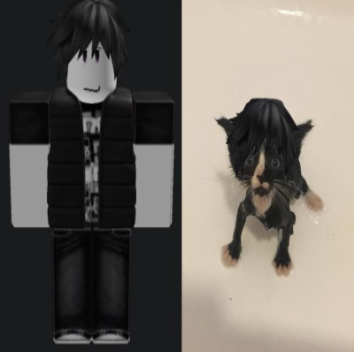 Create meme: emo skin in roblox, emo roblox, roblox emo skins