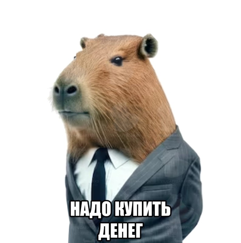Create meme: the capybara , funny capybaras, capybara meme