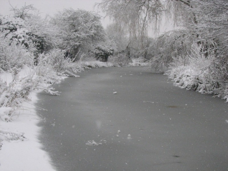 Create meme: winter pond, river in winter, landscape winter