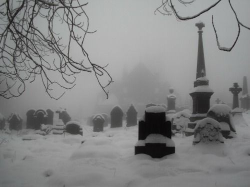 Создать мем: зимнее кладбище, старое кладбище, cemetery