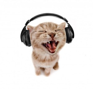 Create meme: cool, cat, cat with headphones