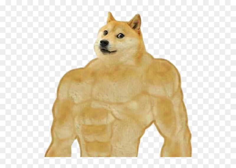 Create meme: dogs meme jock, pumped up dog meme, Jock the dog