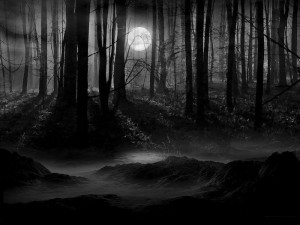 Create meme: dark dark forest, scary forest, dark forest
