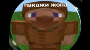 Create meme: minecraft to watch, minecraft bratishkin meme, bratishkin meme minecraft