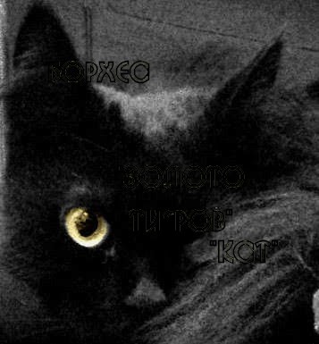 Create meme: black cat , black cat, black cats