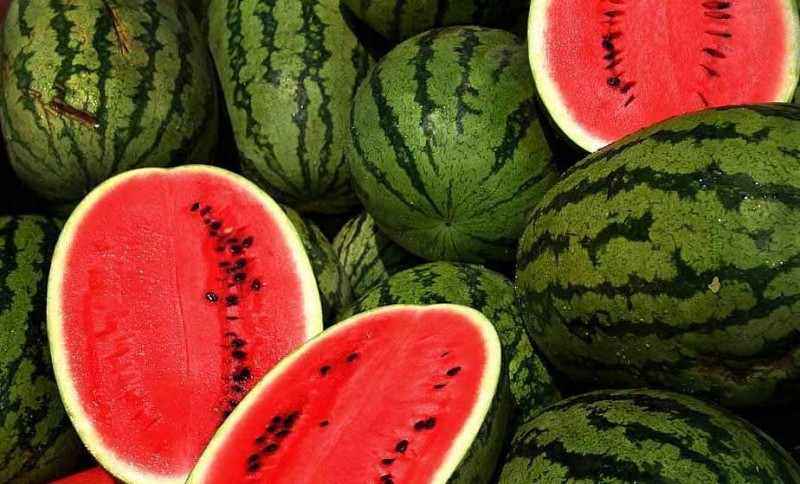 Create meme: watermelon , astrakhan variety of watermelon chill, watermelon varieties