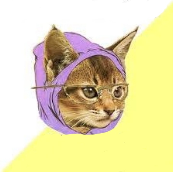 Create meme: The hipster cat, hipster meme, cat 