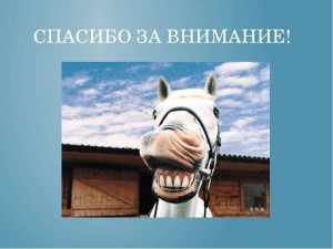 Создать мем: спасибо за внимание животные, благодарю за внимание, спасибо за внимание с лошадью