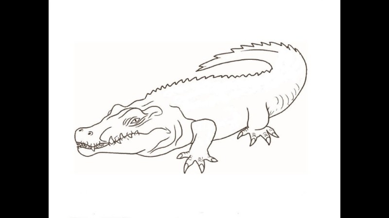 Create meme: crocodile coloring book, crocodile drawing, crocodile pencil drawing for children
