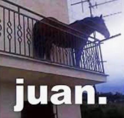 Create meme: juan horse, horse on the balcony, Horse on the Juan balcony