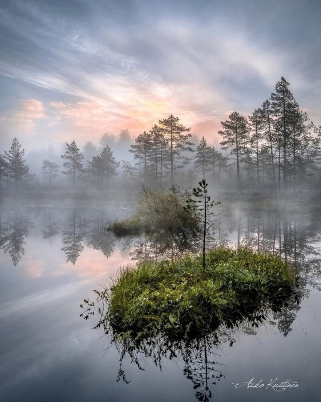 Create meme: Finnish photographer asko kuittinen, beautiful swamp, swamp fog