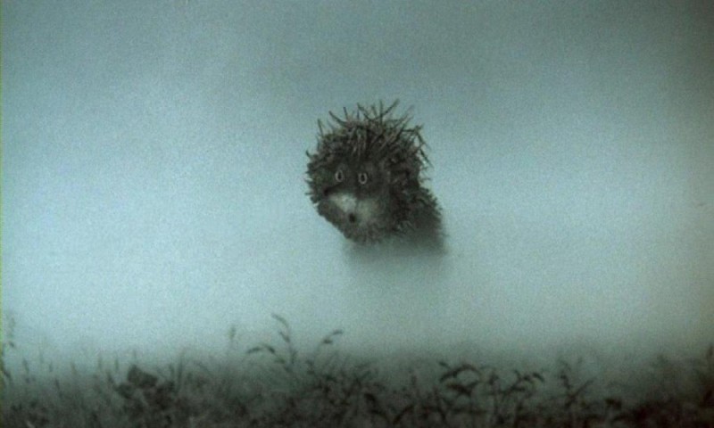 Create meme: hedgehog in the fog with a knot, hedgehog in the fog art, owl hedgehog in the fog
