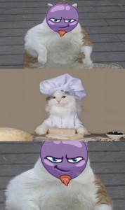 Создать мем: котами, юмор коты, юмор кот
