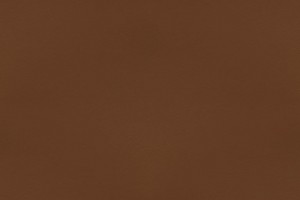 Create meme: color brown, brown