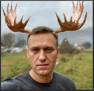 Create meme: Alexei Navalny