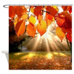 Create meme: autumn, autumn sun, autumn