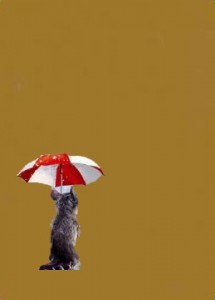 Create meme: Red Umbrella, Umbrella, Flowers for Algernon