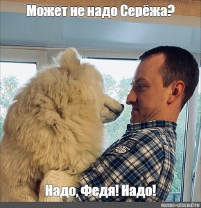 Надо федя надо фото приколы