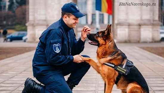 Create meme: police dogs, dog police, a policeman with a dog